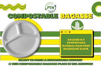 Why Choose Biodegradable Plates and Cups?