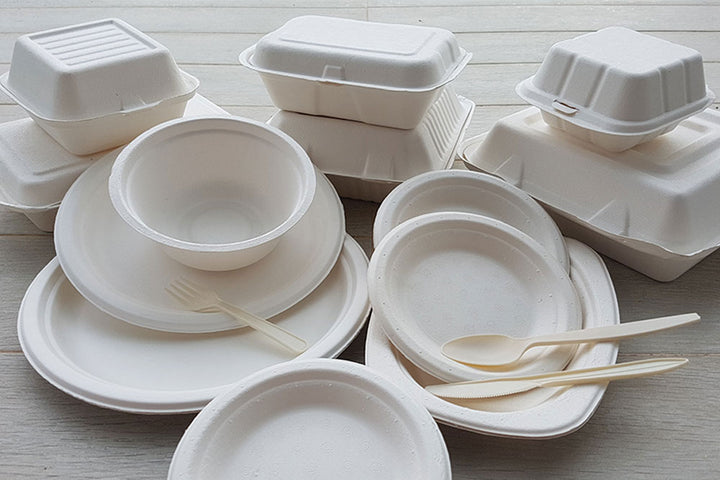 Sustainable Elegance: Bagasse Plates and Bowls