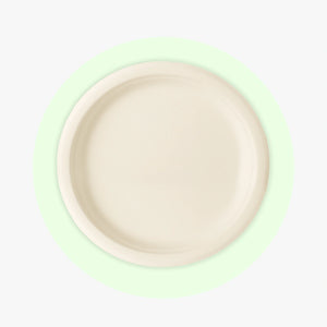 Compostable Sugarcane / Bagasse 12" Plate